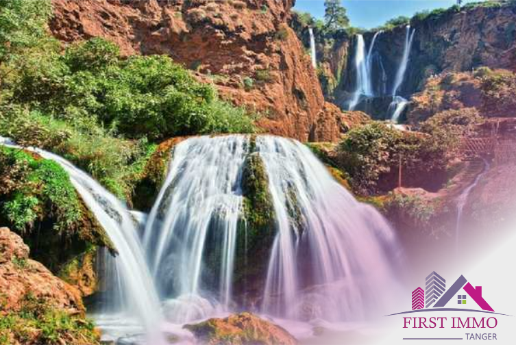 Excursion pour visiter les Cascades d’Ouzoud au Maroc